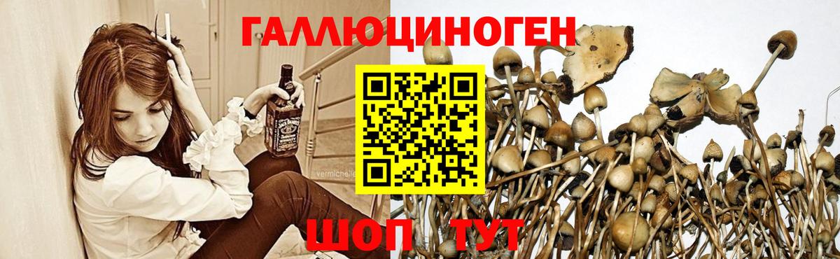 Псилоцибиновые грибы ЛСД  Галлюциногенные грибы мицелий  Вход с VPN  Кировск 