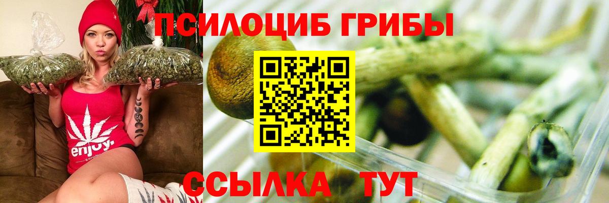 Псилоцибиновые грибы прущие грибы Кировск